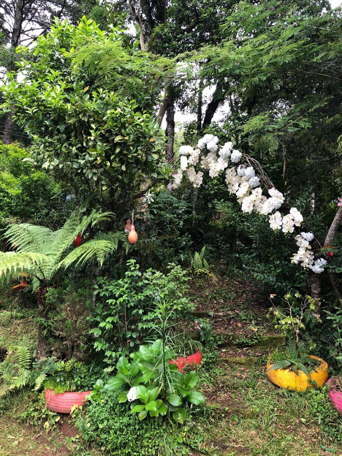Recanto Familia Weiss Gramado Dış mekan fotoğraf